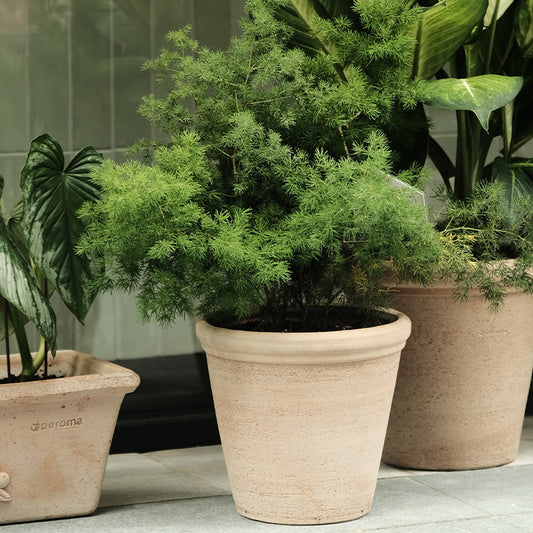 Deroma Vaso Etrusco手工盆