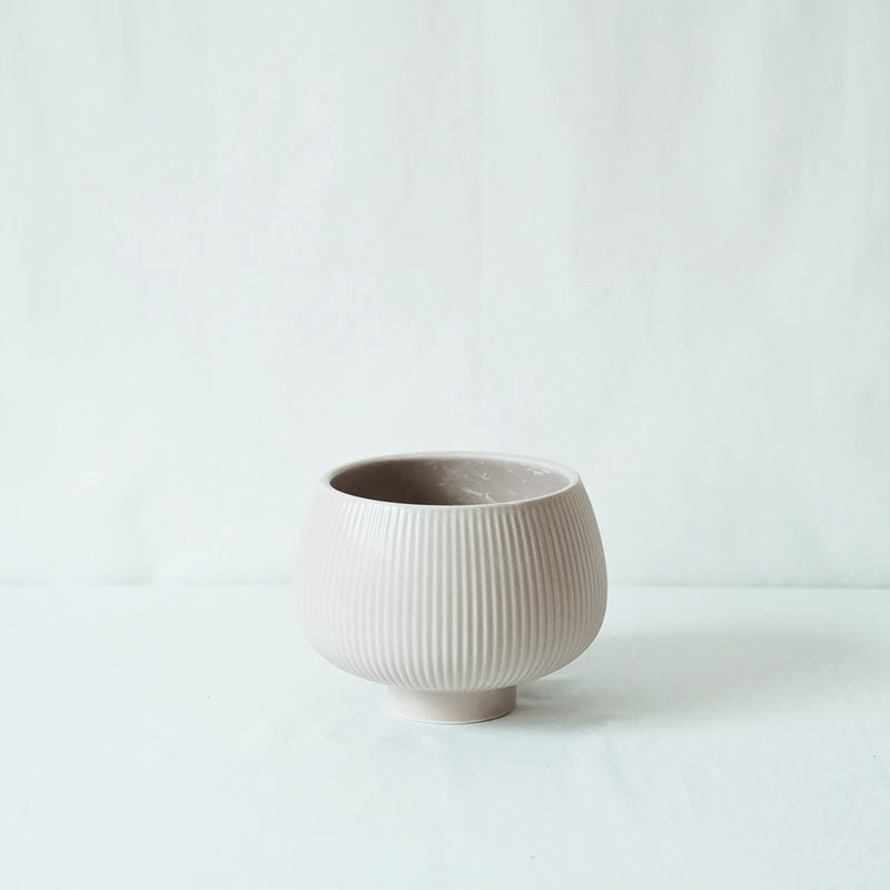 森林裡的小精靈