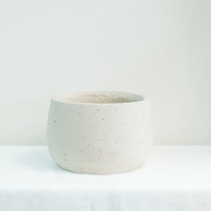 寬口矮輕量鎂泥盆