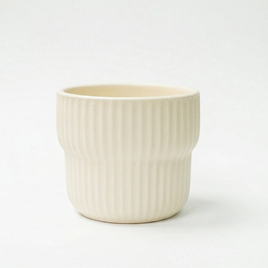 沙漠裡的仙人掌