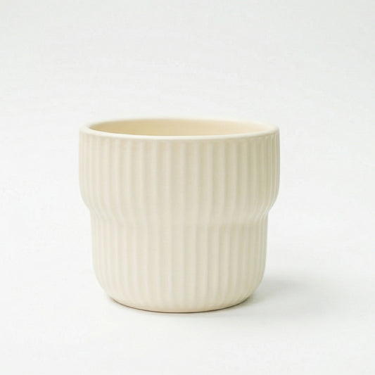 沙漠裡的仙人掌