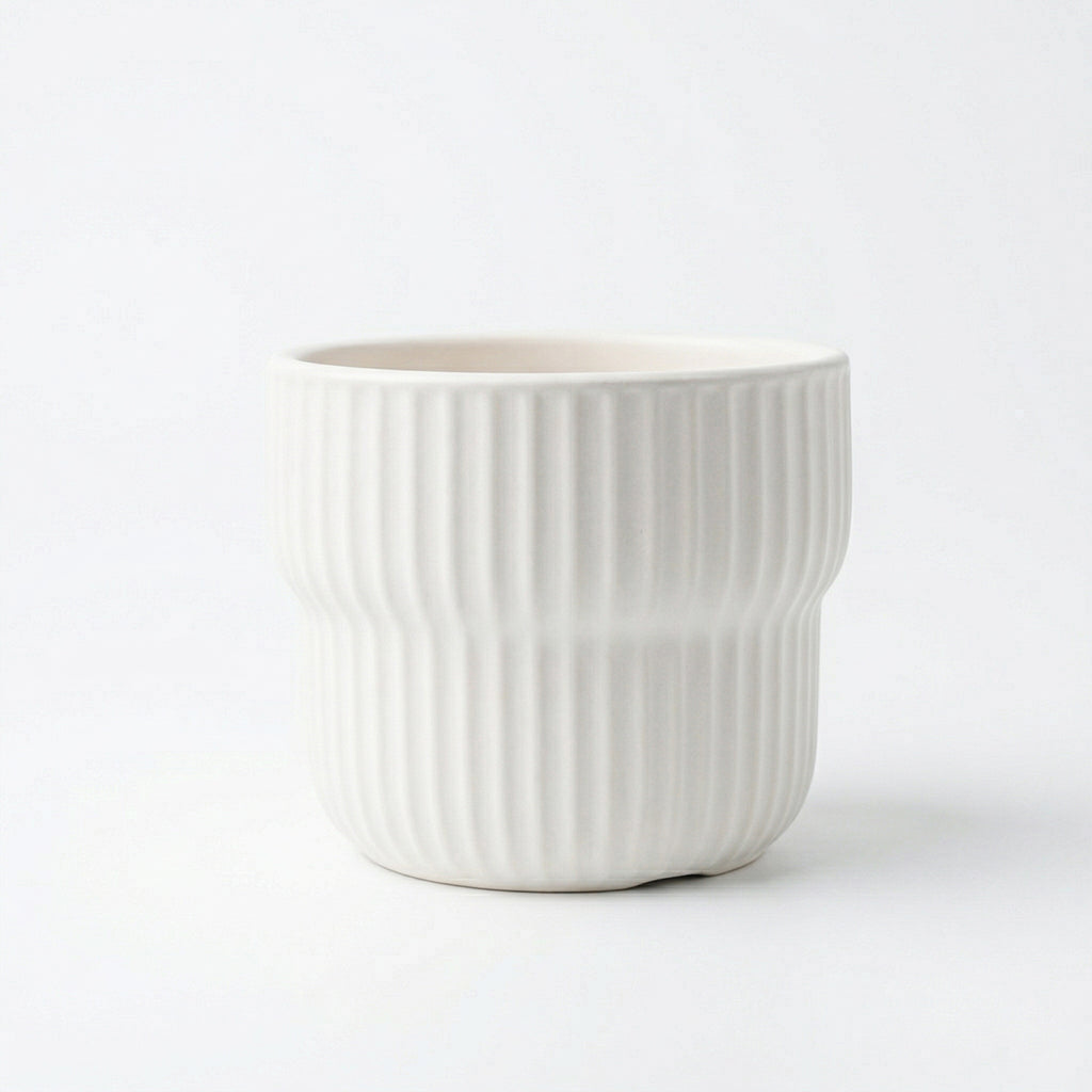 沙漠裡的仙人掌