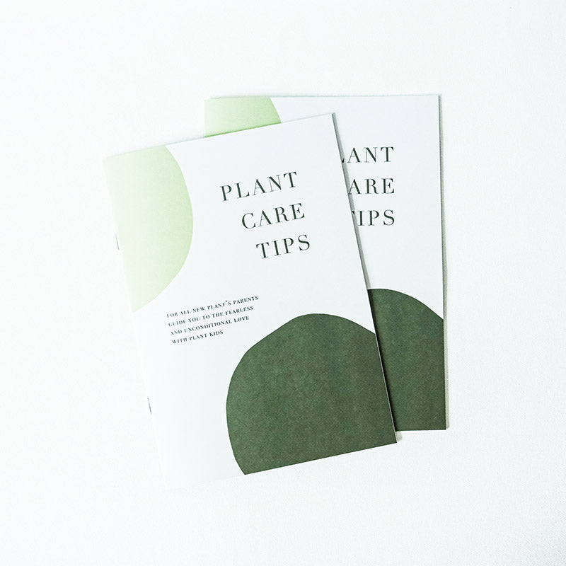 《Plant Care Tips》植物養護手冊