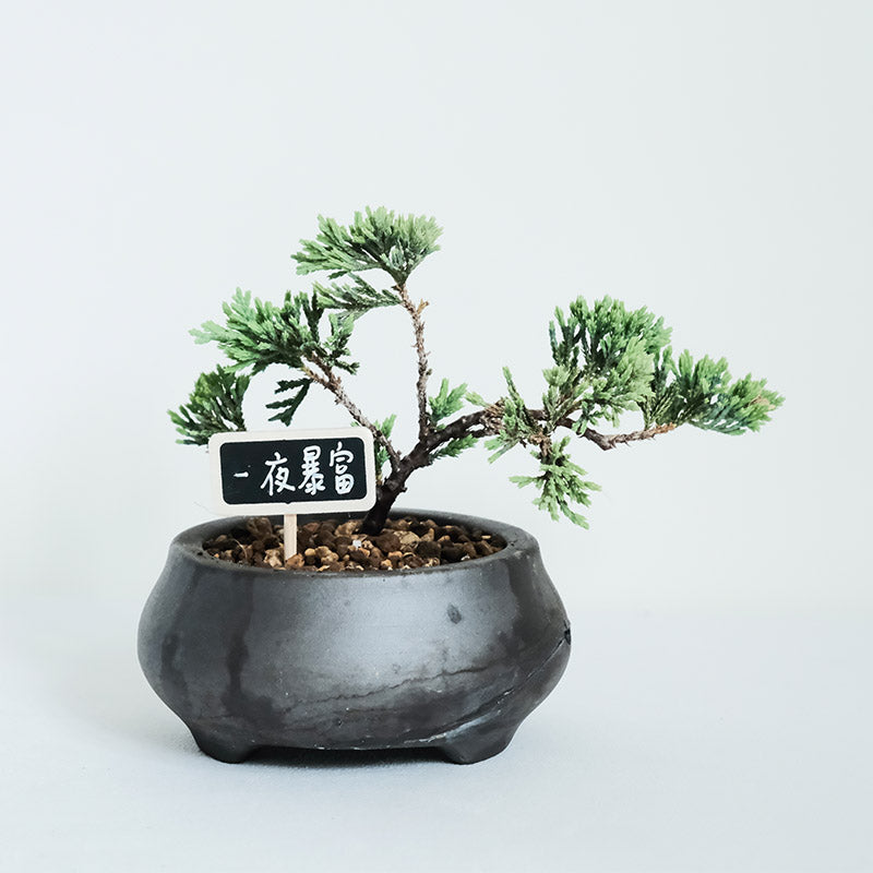 小黑板