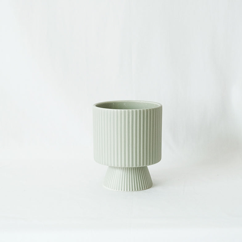 森林裡的高腳杯盆