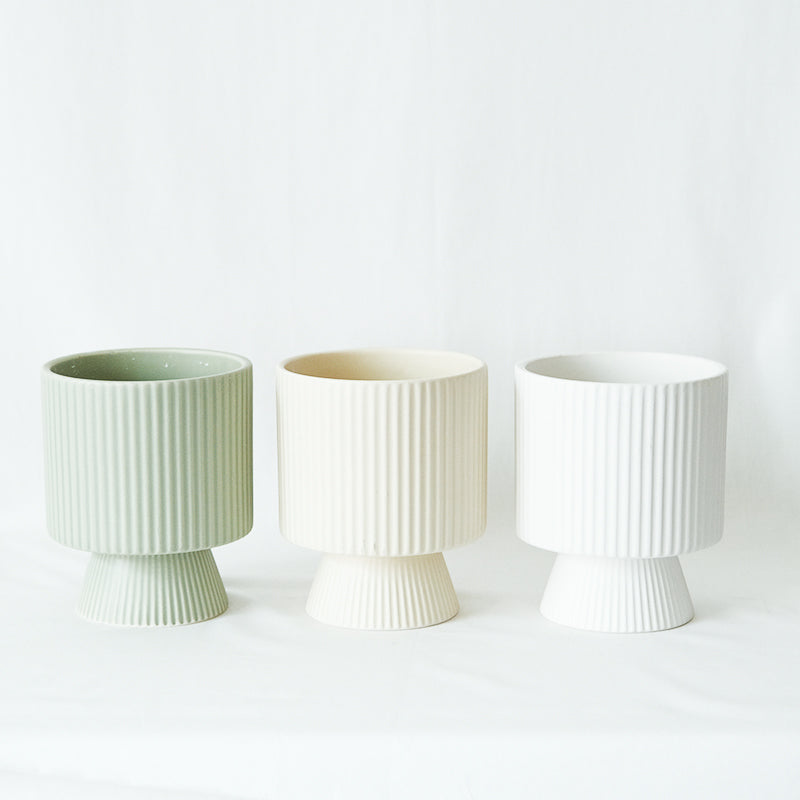 森林裡的高腳杯盆