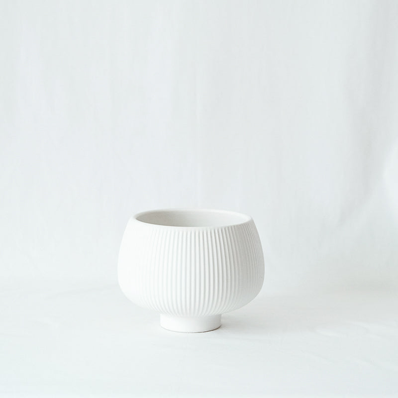 森林裡的小精靈