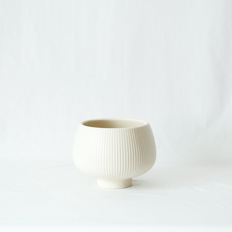 森林裡的小精靈