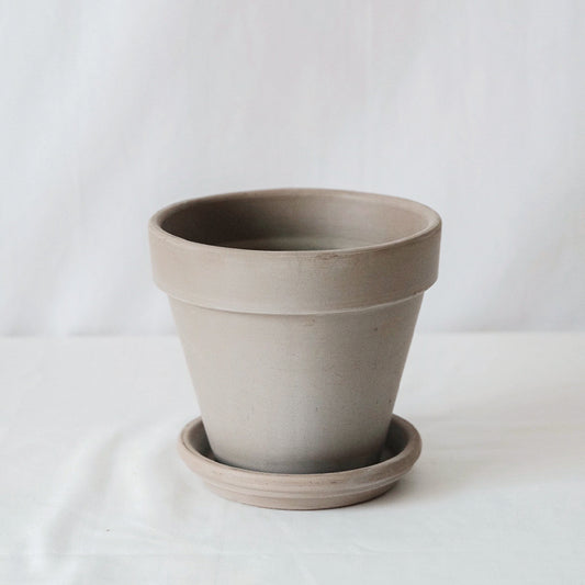 Deroma 義大利陶盆 Standard pot 可可色