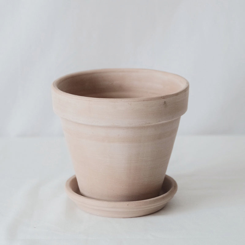 Deroma 義大利陶盆 Standard pot 白陶色