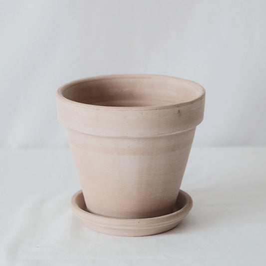 Deroma 義大利陶盆 Standard pot 白陶色