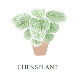 陳家立葉 Chen's Plant