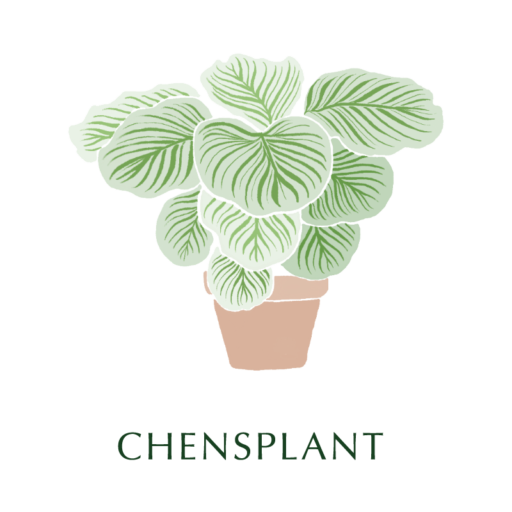 陳家立葉 Chen's Plant